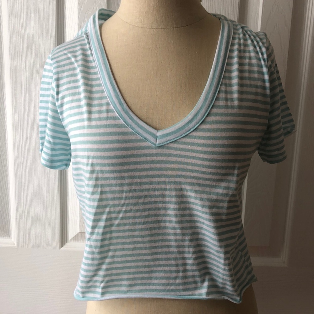 PacSun basic cropped tee